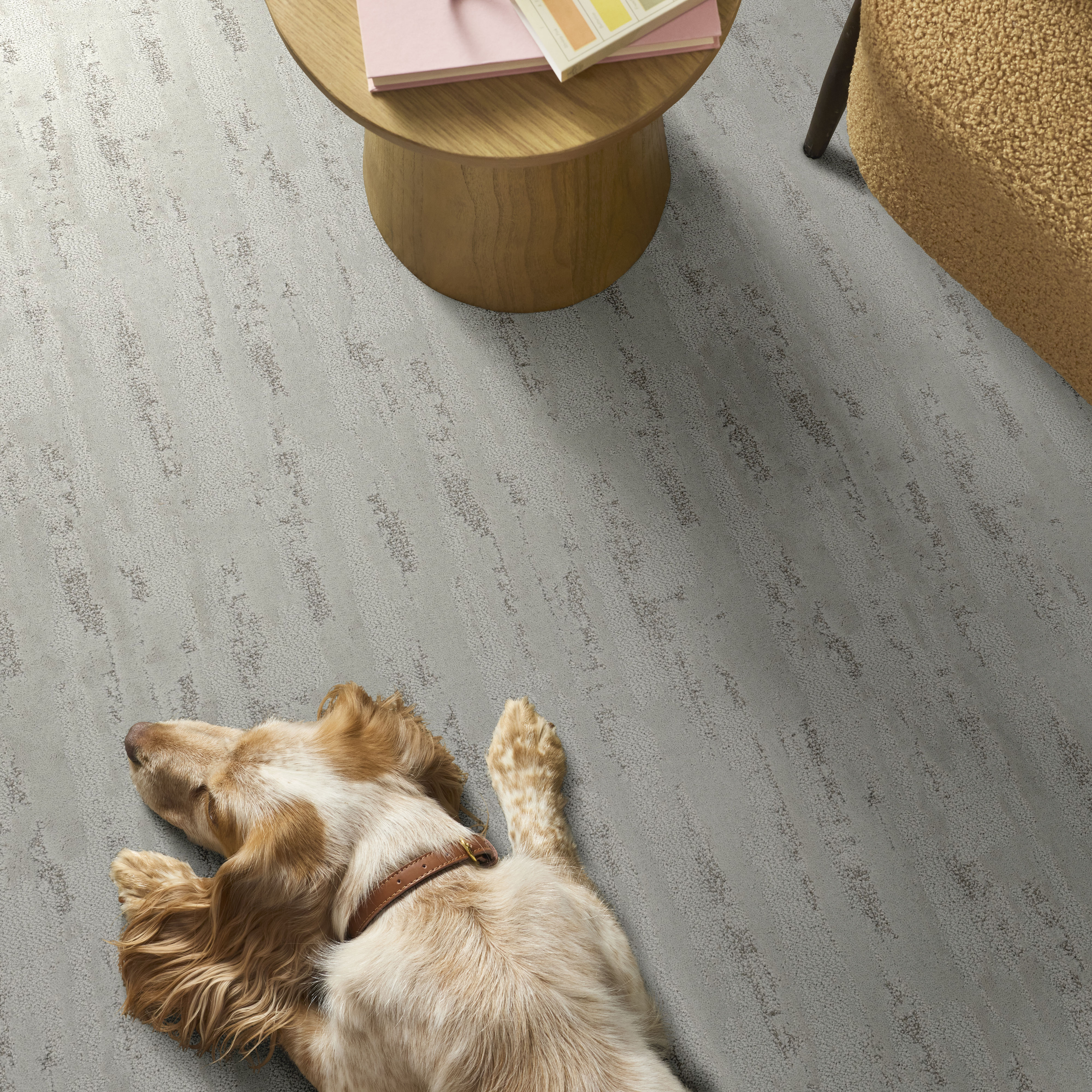 Tranquil Spirit - Frozen Carpet | Shaw Floors